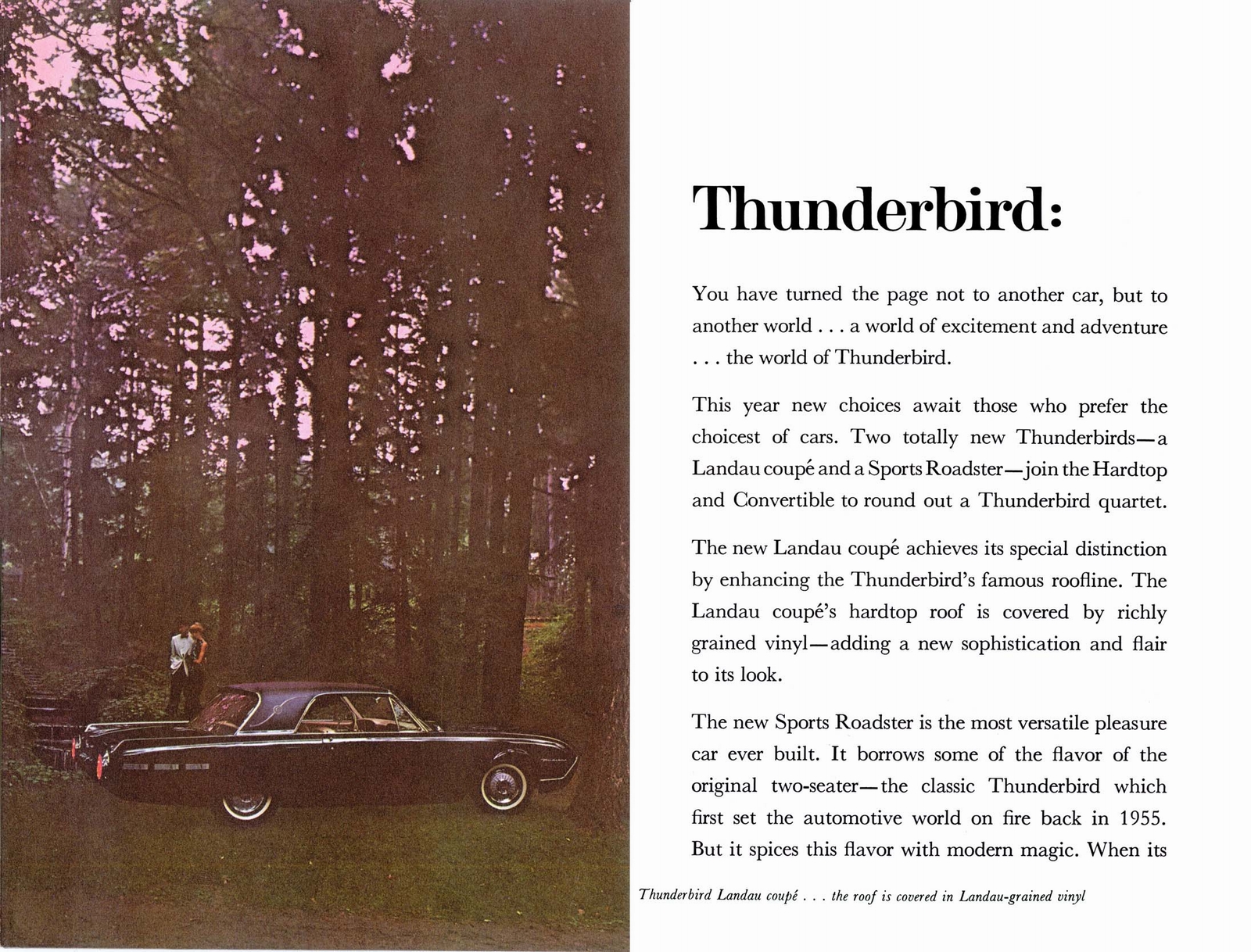 n_1962 Ford Newsletter Supplement-12.jpg